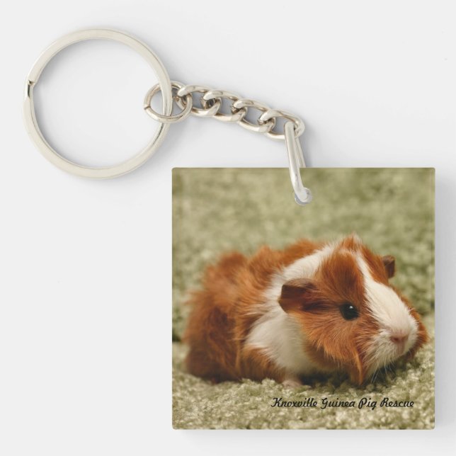 Baby Guinea Pig Keychain (Front)