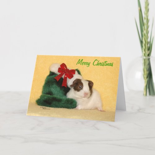 Baby Guinea Pig Merry Christmas Card