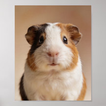 Baby Guinea Pig Portrait – Cute Nursery Animal Wal