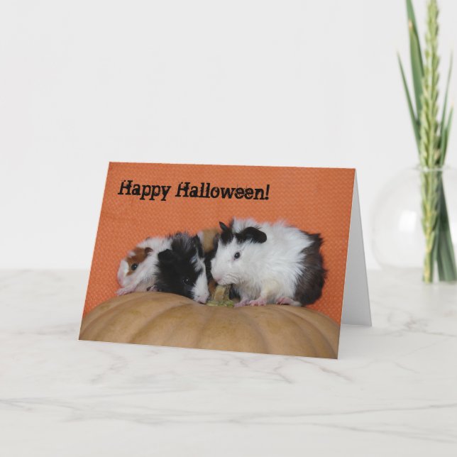 Baby Guinea Pigs, Happy Halloween! Card (Front)