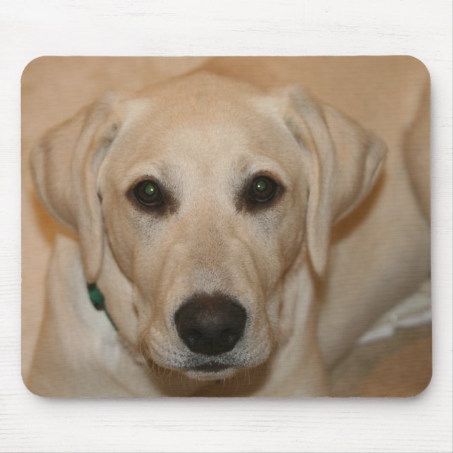 Baby Gus Mouse Pad (Front)