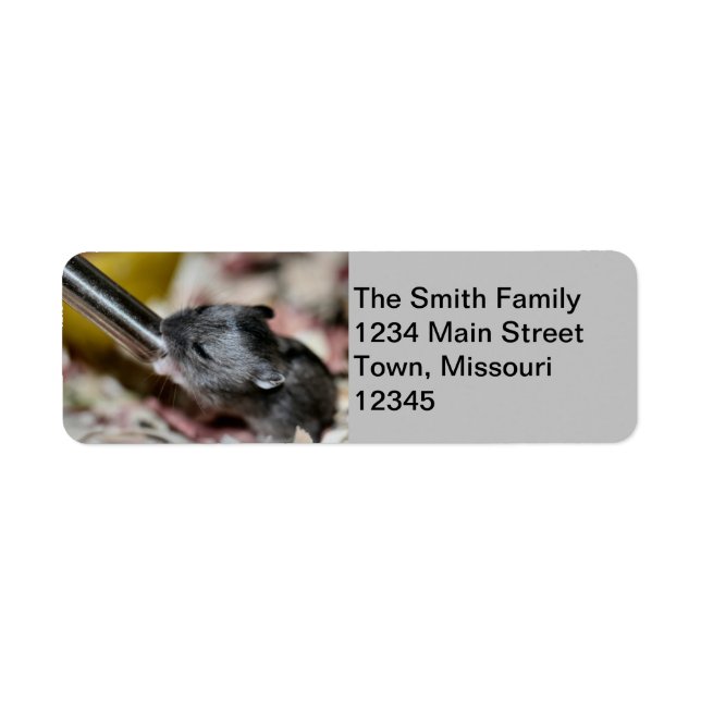 baby hamster label (Front)