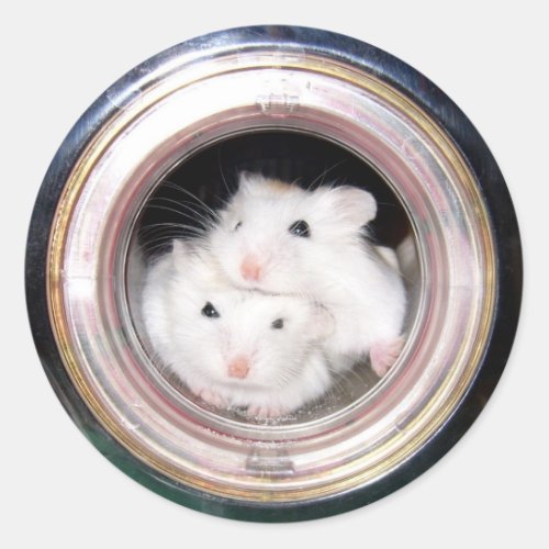 Baby hamster Piled up Classic Round Sticker