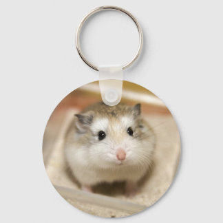 Baby hamster stare keychain