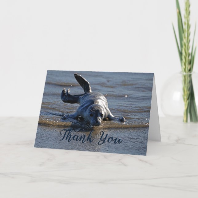 Baby Harbor Seal Photo Thank You Card (Front)