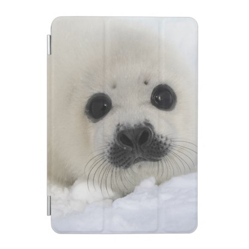 Baby Harp Seal iPad Mini Cover