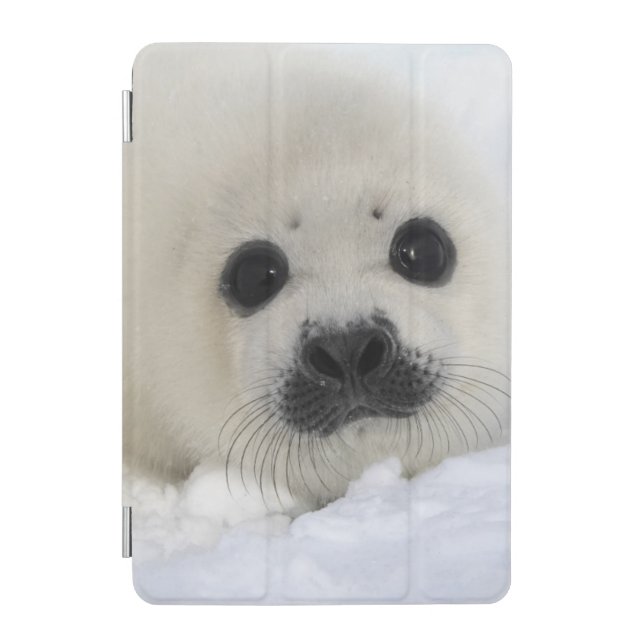 Baby Harp Seal iPad Mini Cover (Front)