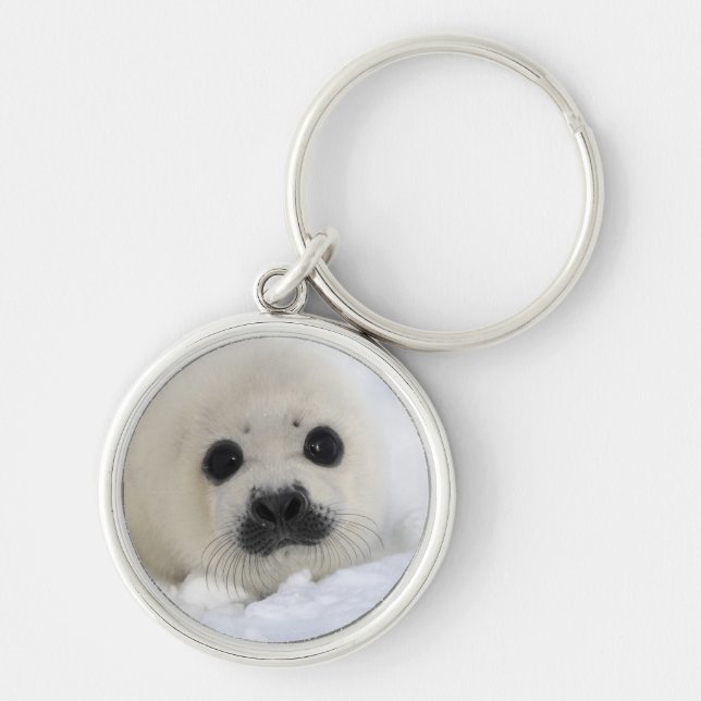 Baby Harp Seal Keychain (Front)