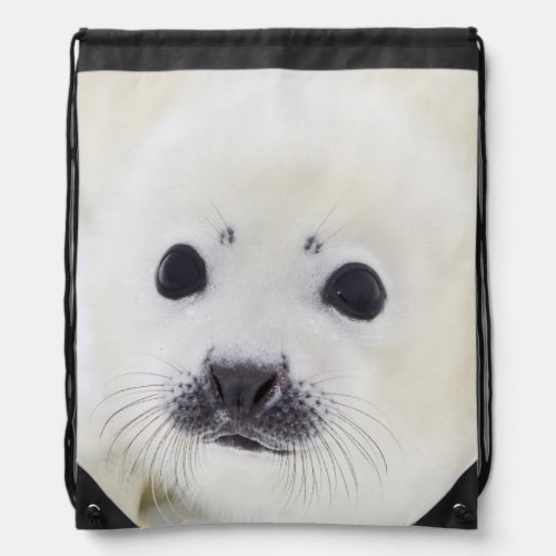 Baby harp seal pup on ice of the White Sea Drawstring Bag