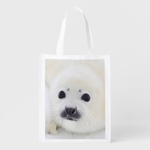 Baby harp seal pup on ice of the White Sea Grocery Bag