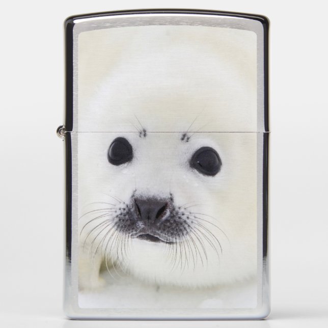 Baby harp seal pup on ice of the White Sea Zippo Lighter (Front)