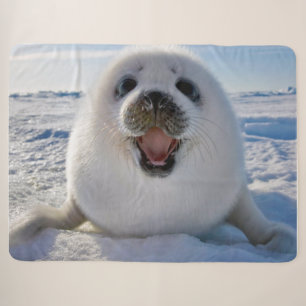 Baby Harp Seal Sherpa Blanket