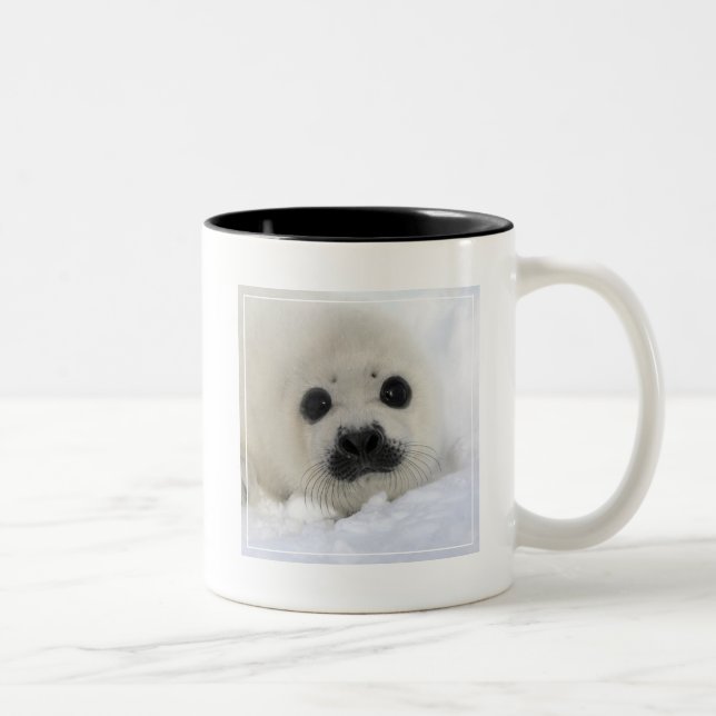 Baby Harp Seal Two-Tone Coffee Mug (Right)
