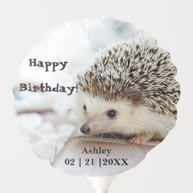 Baby Hedgehog Birthday Party Balloon (Front)