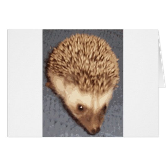 baby hedgehog cards (Front Horizontal)