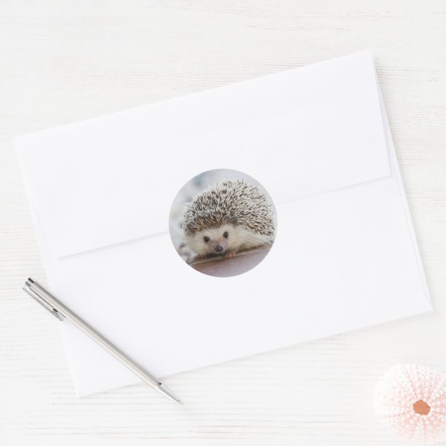 Baby hedgehog  classic round sticker (Envelope)