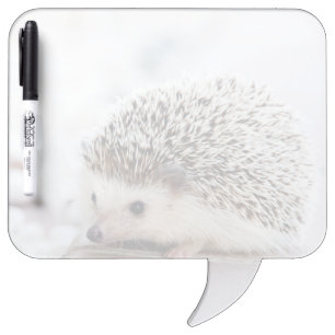 Baby Hedgehog Dry Erase Board