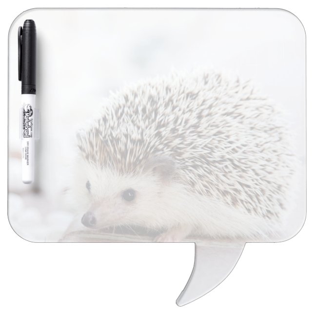 Baby Hedgehog Dry Erase Board (Front)