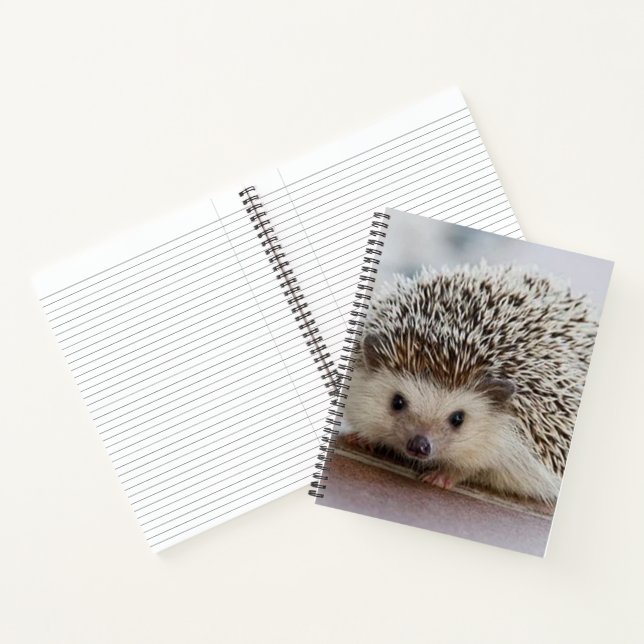 Baby hedgehog   notebook (Inside)