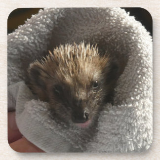 Baby Hedgehog on Blanket Hard Plastic Coaster