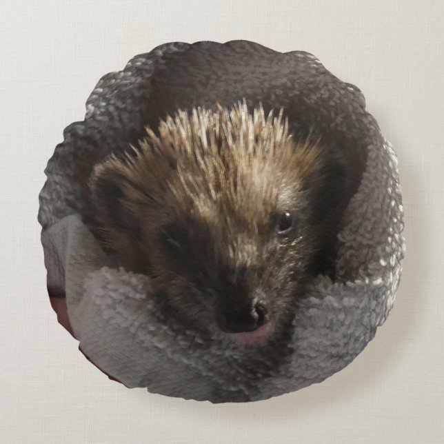 Baby Hedgehog on Blanket Round Pillow (Front)