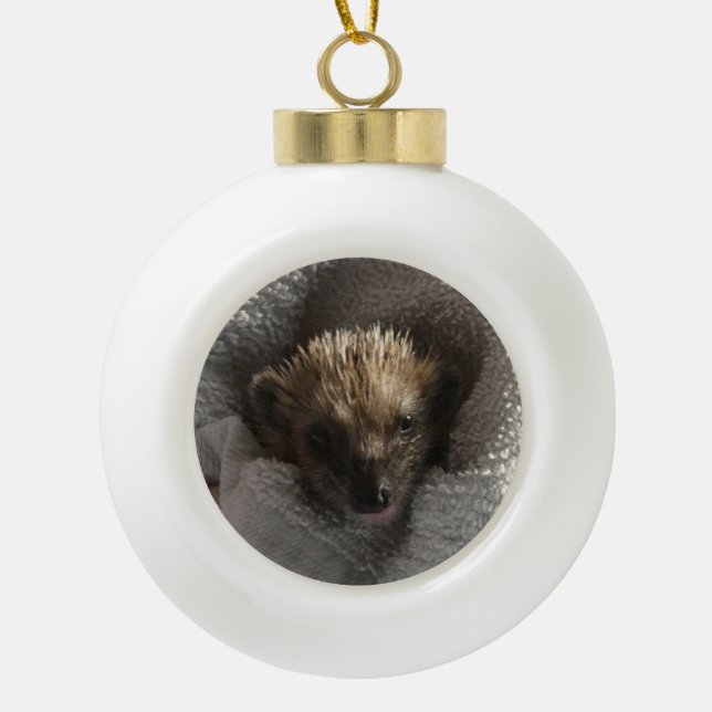 Baby Hedgehog on Blanket Snowflake Framed Ornament (Front)