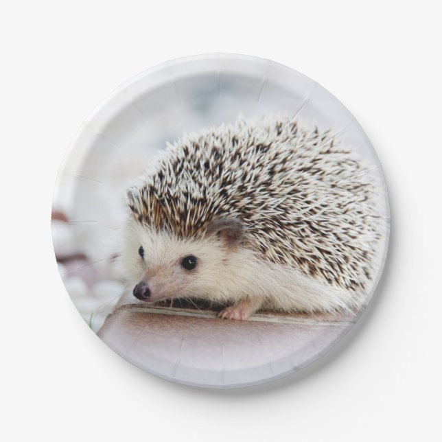 Baby Hedgehog Paper Plates (Front)