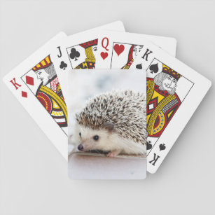 Baby Hedgehog Playing Cards