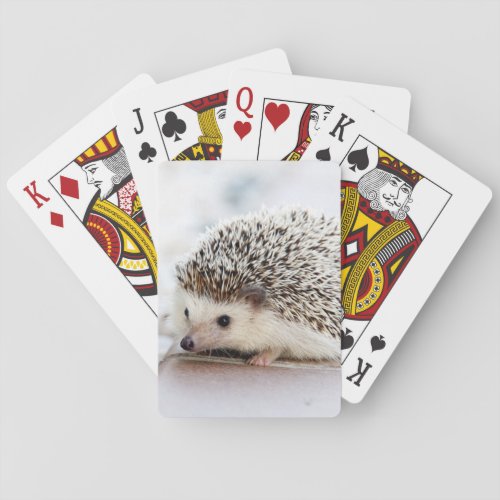 Baby Hedgehog Poker Cards