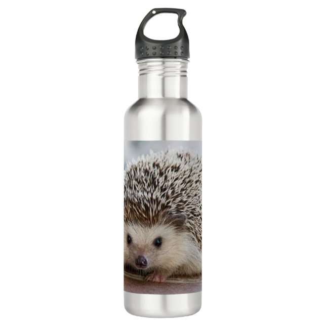 Baby hedgehog   stainless steel water bottle (Front)