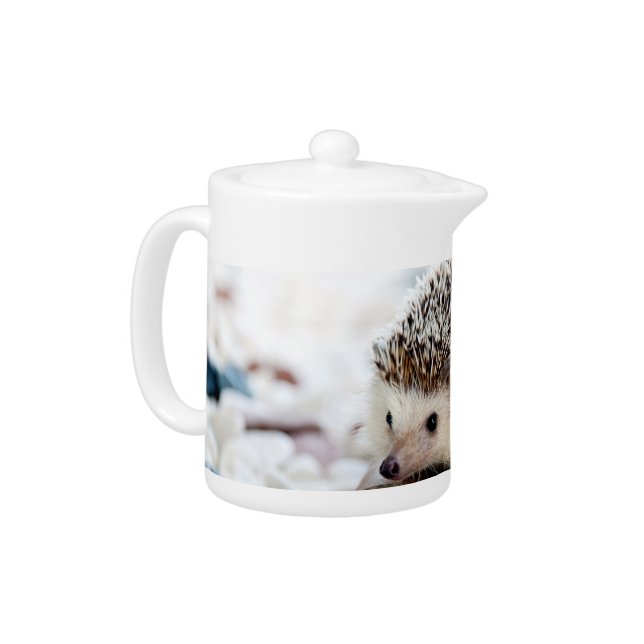 Baby Hedgehog Teapot (Left)