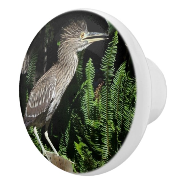 Baby Heron Bird Wildlife Animals Knob (Right)