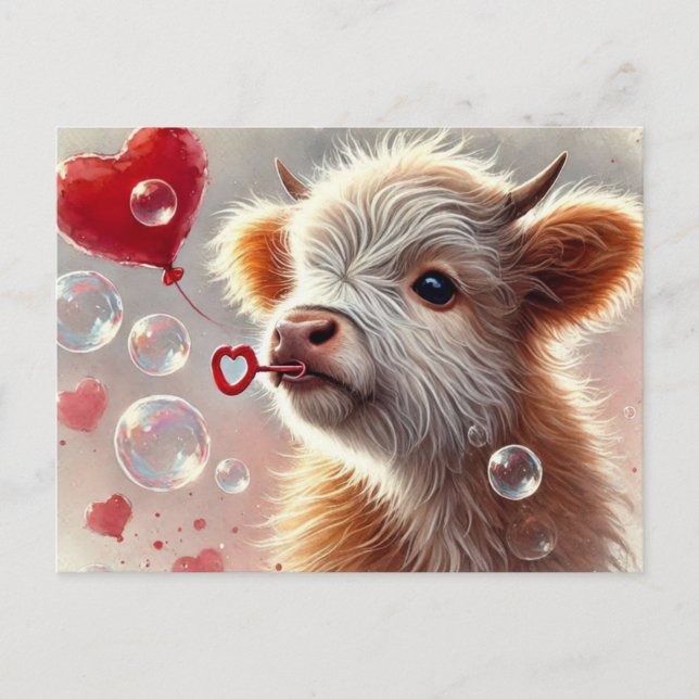 Baby Highland Cow Valentine  Postcard (Front)