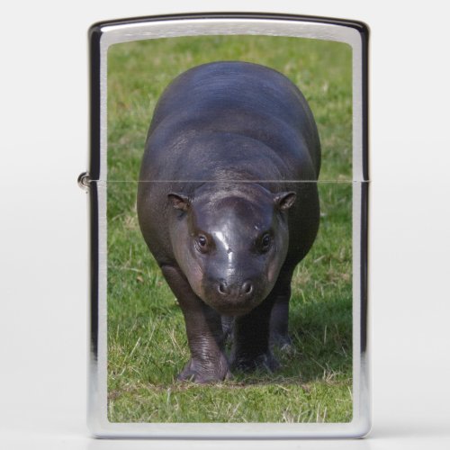 Baby Hippo Lighter