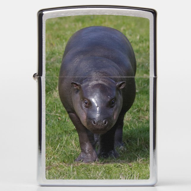 Baby Hippo Lighter (Front)