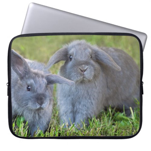 Baby Holland Lop Bunnies _ Cute Rabbits Laptop Sleeve