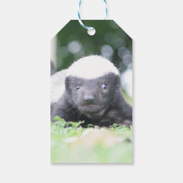 Baby honey badger gift tags (Back)