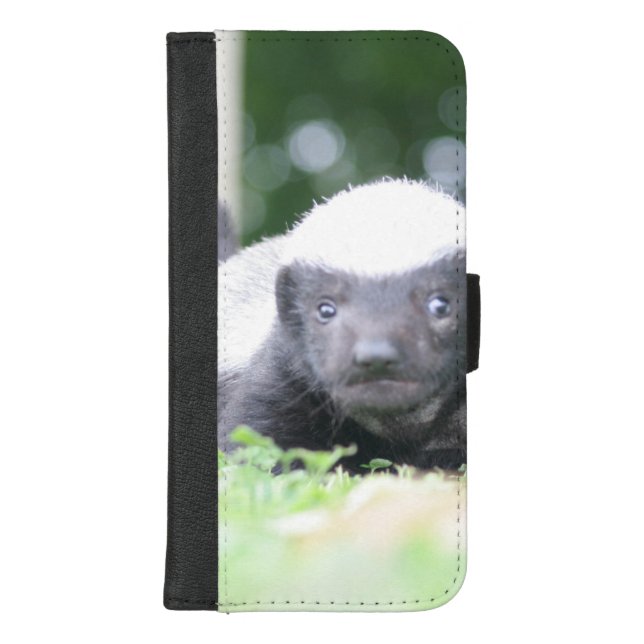 Baby honey badger on green grass photograph iPhone wallet case (Front)
