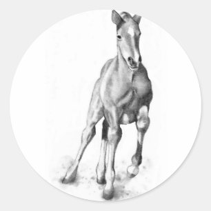 Baby Horse, Colt Running: Pencil Art Classic Round Sticker