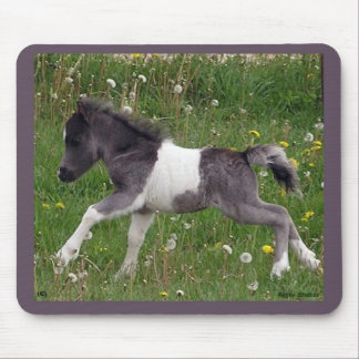 Baby Horse Mousepad