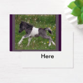 Baby Horse Profile Card (Desk)
