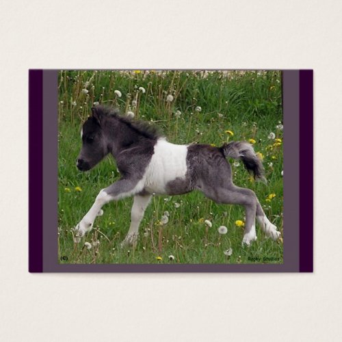 Baby Horse Profile Card Business Cards