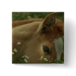 Baby Horse Square Pin