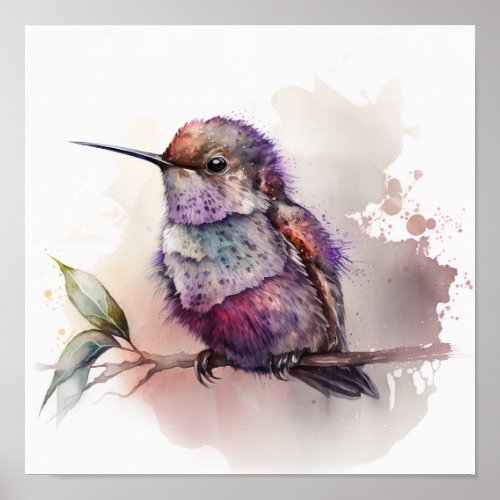 Baby Hummingbird Poster