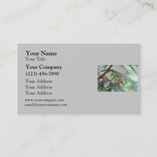 Customizable Baby Hummingbird Sticking Out Its Tongue Business Cards