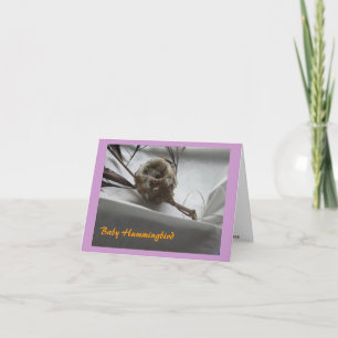 Baby Hummingbird Thank You Card