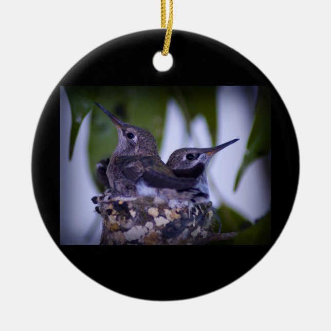 Baby Hummingbirds Ceramic Ornament (Front)