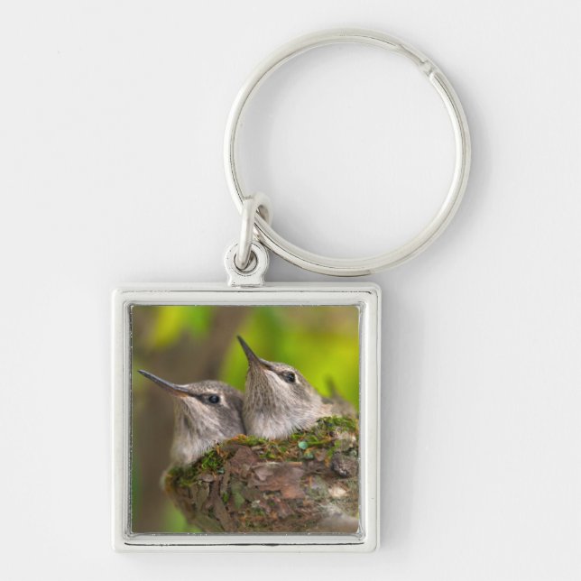 Baby hummingbirds keychain (Front)