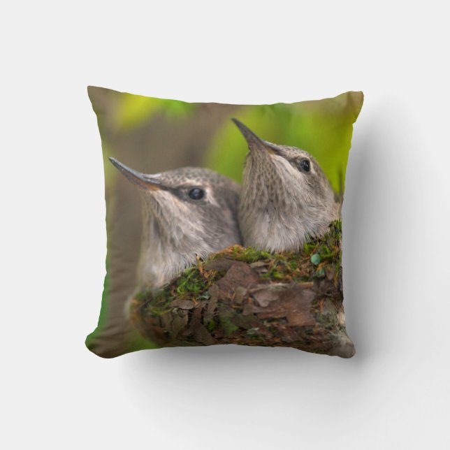 Baby hummingbirds throw pillow (Front)