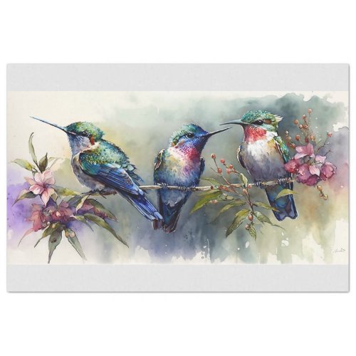 Baby Hummingbirds Tissue Paper